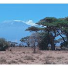 Kenia 04