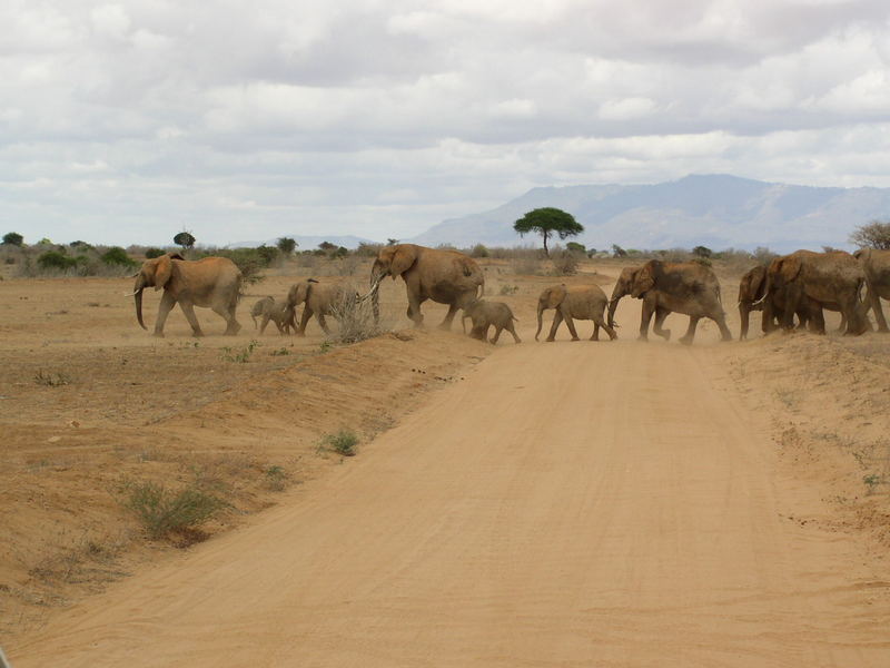 Kenia 2006