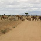 Kenia 2006