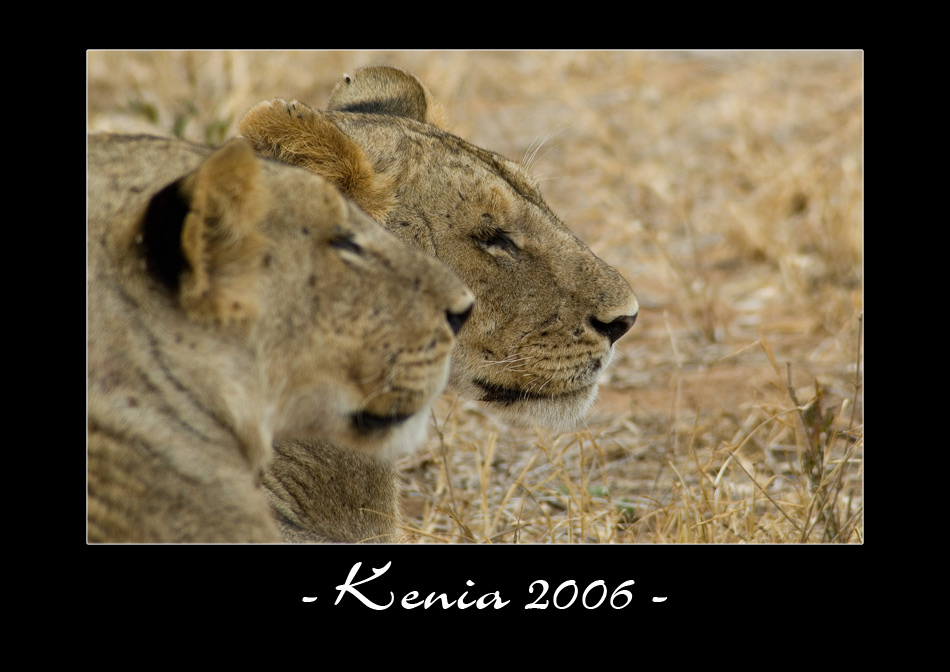 Kenia 2006