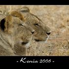 Kenia 2006