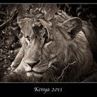 Kenia 2011