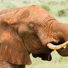 Kenia 2014 # 006