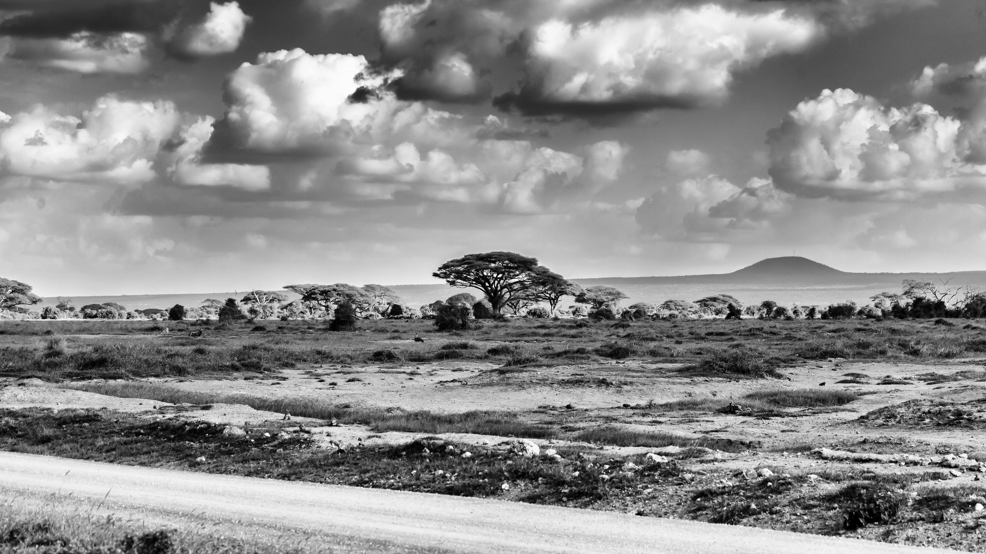 Kenia 2014 - IMG_0276-62