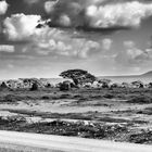 Kenia 2014 - IMG_0276-62