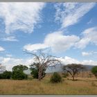 Kenia-Eindrücke, Landschaft