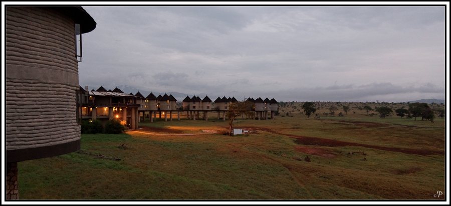 Kenia-Eindrücke, Safari 17