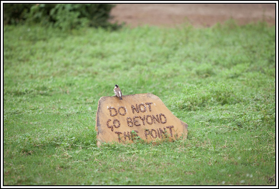 Kenia-Eindrücke, Safari 32