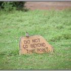 Kenia-Eindrücke, Safari 32