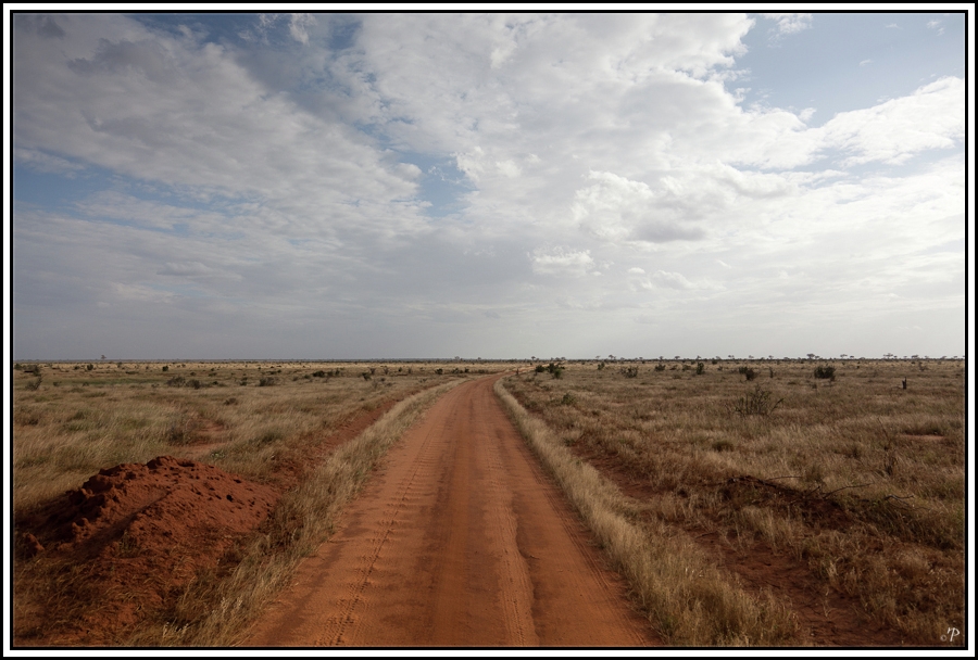 Kenia-Eindrücke, Safari 36