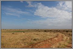 Kenia-Eindrücke, Safari 37