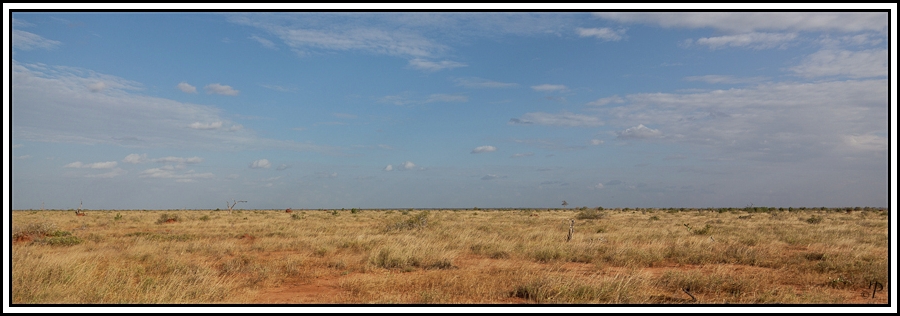 Kenia-Eindrücke, Safari 39