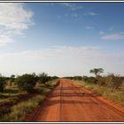 Kenia-Eindrücke, Safari 40