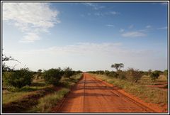 Kenia-Eindrücke, Safari 40