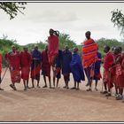 Kenia-Eindrücke, Safari 43