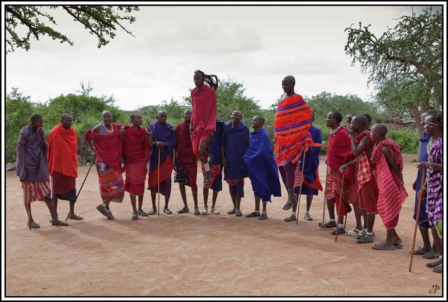 Kenia-Eindrücke, Safari 43