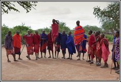 Kenia-Eindrücke, Safari 43