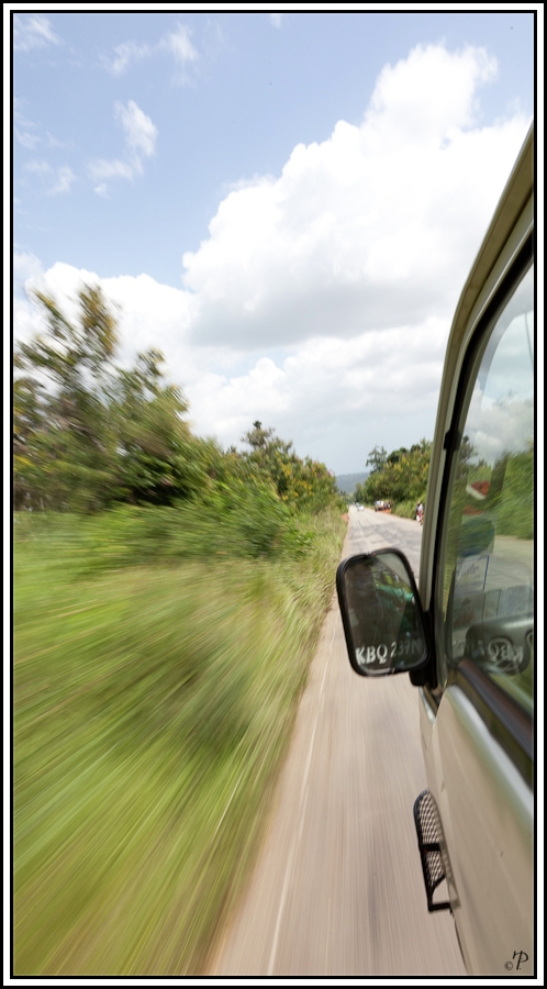 Kenia-Eindrücke, Safari 46, Speed