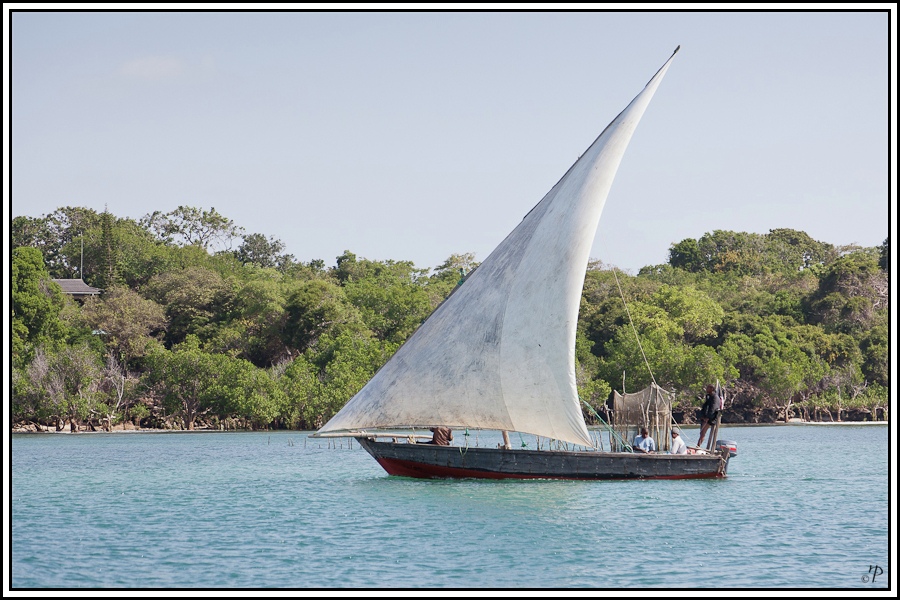 Kenia-Eindrücke, Safari 48