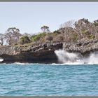 Kenia-Eindrücke, Safari 49