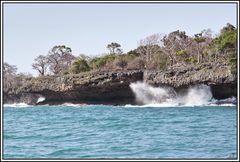 Kenia-Eindrücke, Safari 49