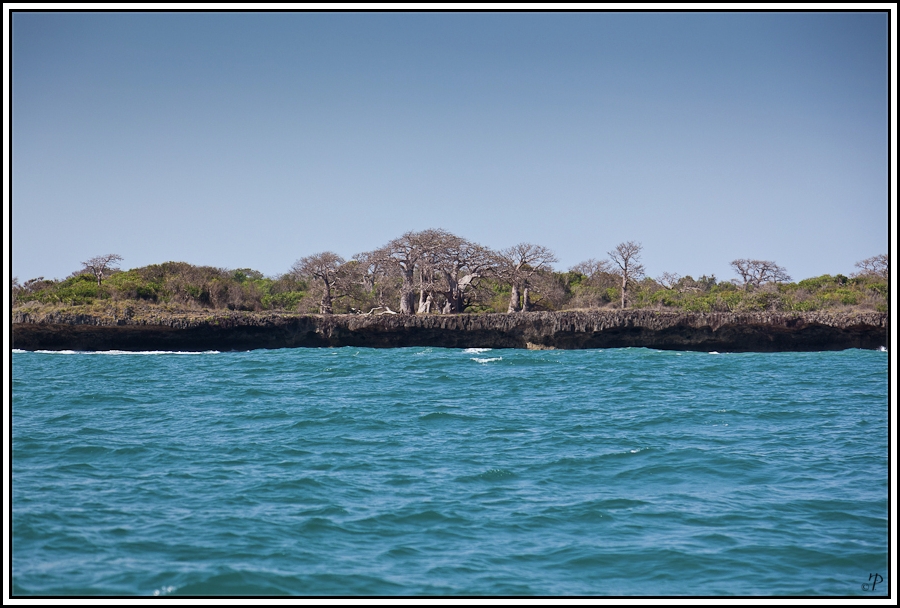 Kenia-Eindrücke, Safari 50