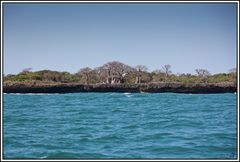 Kenia-Eindrücke, Safari 50