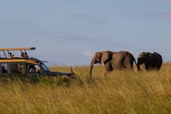 Kenia Fotosafari