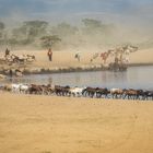 Kenia - Im Massai-Land - Wasserstelle