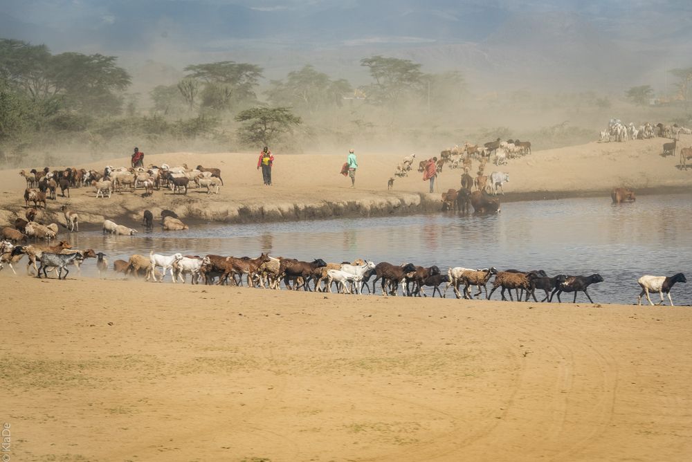 Kenia - Im Massai-Land - Wasserstelle