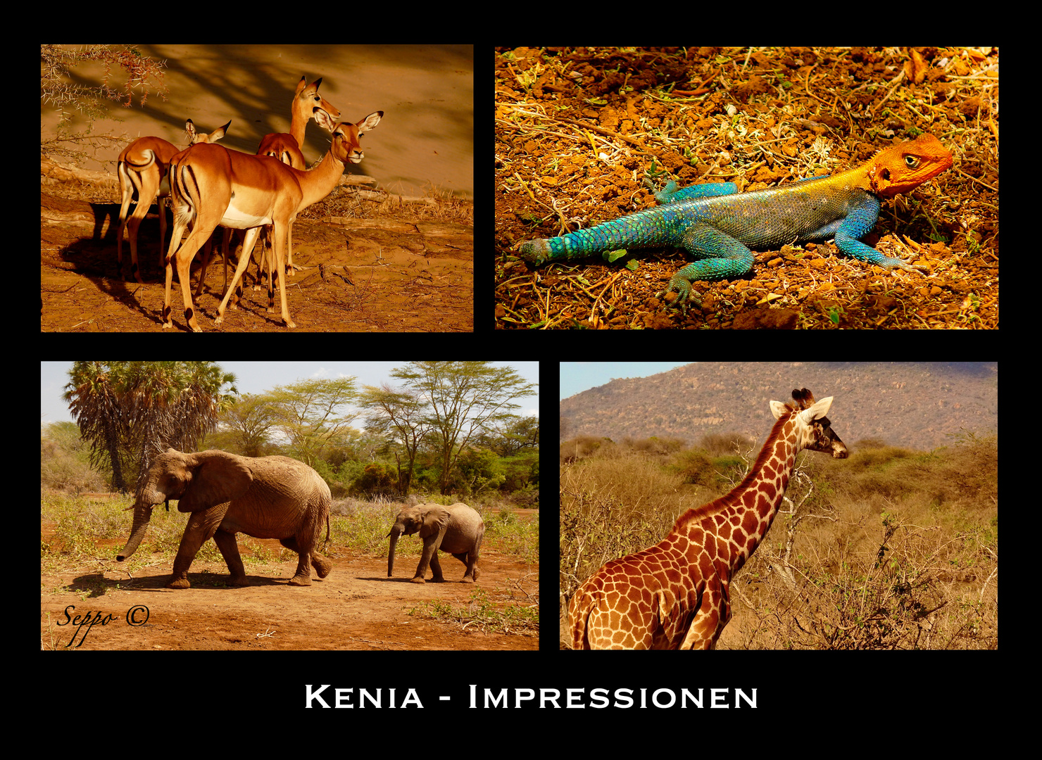 Kenia - Impressionen