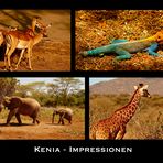 Kenia - Impressionen