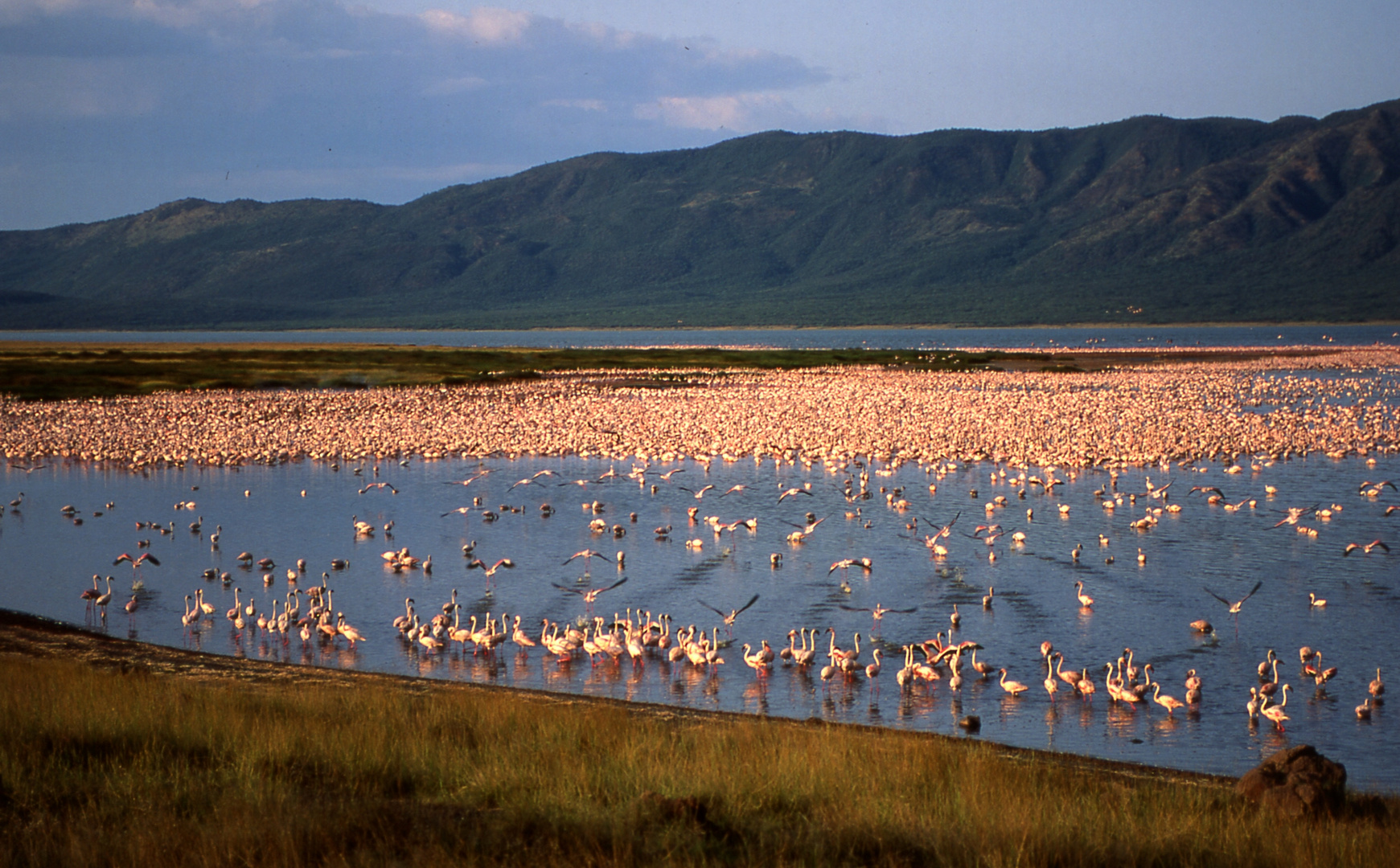 Kenia: Lake Bogoria mit Flamingos