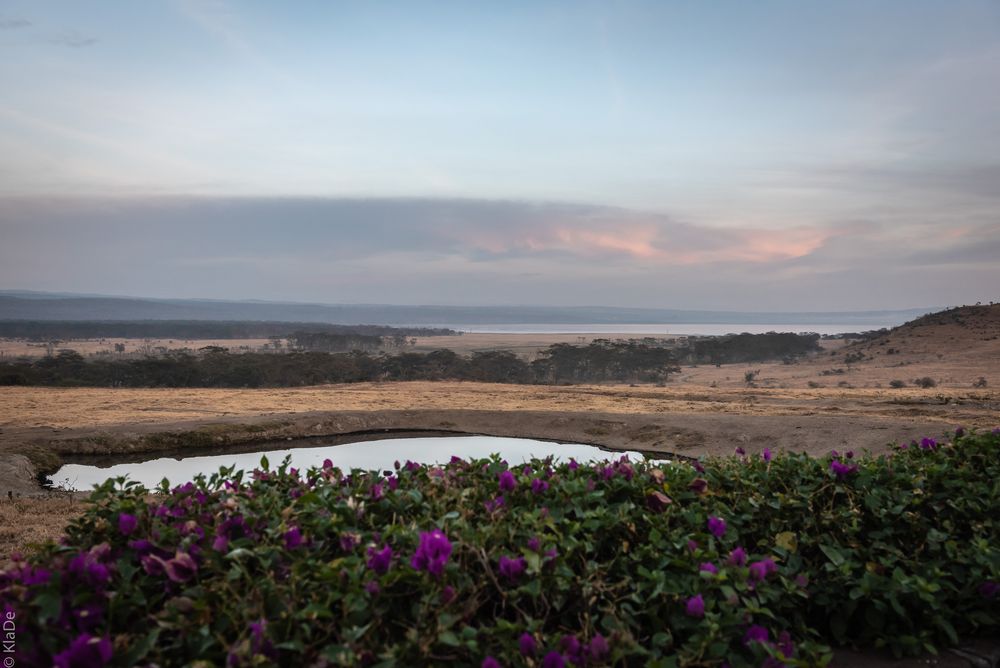 Kenia - Lake Nakuru National Park