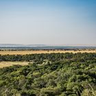 Kenia - Masai Mara - Blick in die Savanne