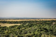 Kenia - Masai Mara - Blick in die Savanne