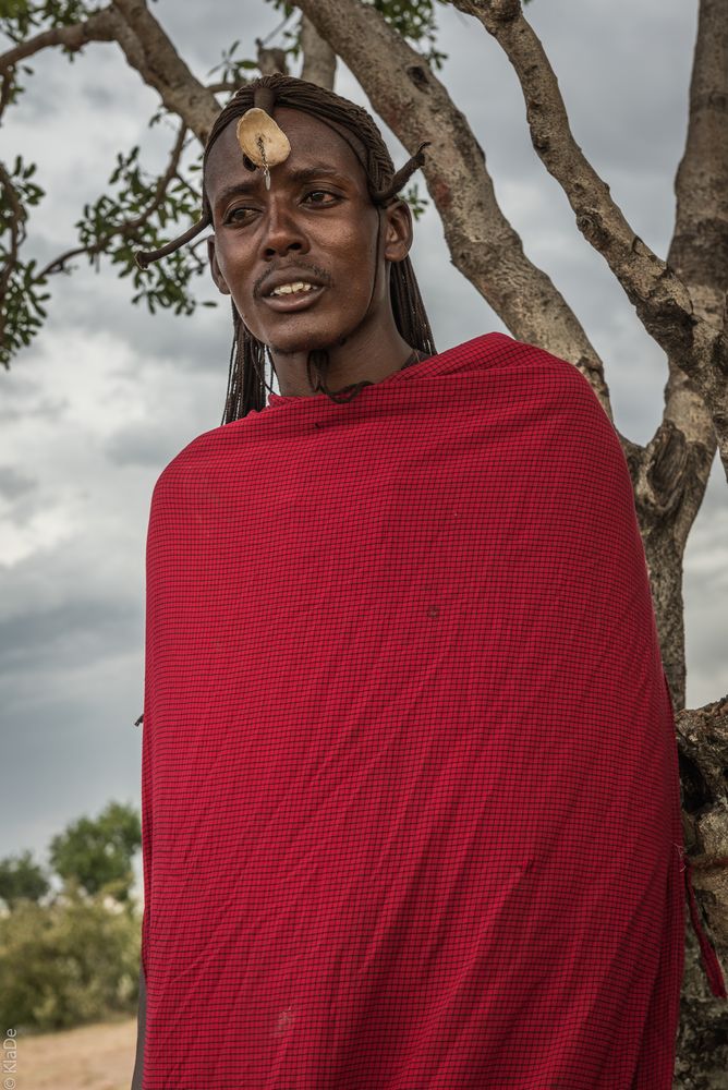 Kenia - Masai Mara - Massai - Junger Krieger im Ornat