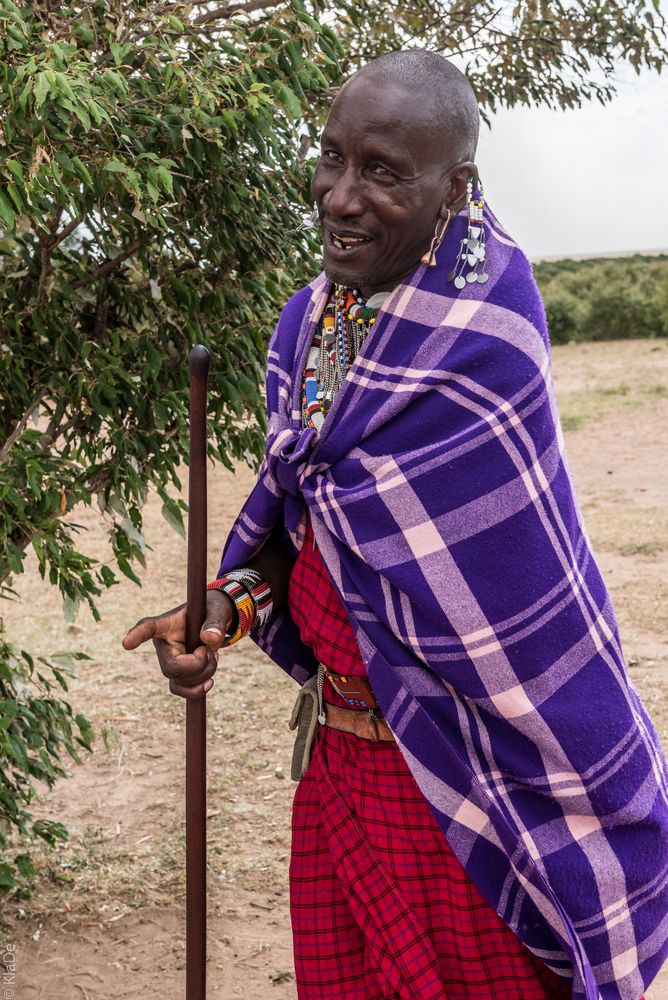 Kenia - Masai Mara - Massai - Stammesältester