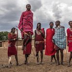 Kenia - Masai Mara - Massai - Tanz der jungen Krieger