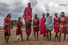 Kenia - Masai Mara - Massai - Tanz der jungen Krieger