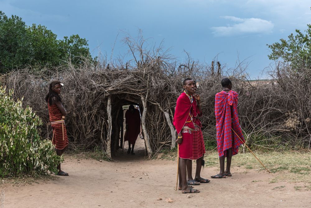 Kenia - Masai Mara - Massai - Vor dem Kral