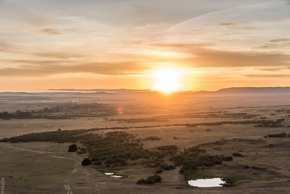 Kenia - Masai Mara - Perspektivwechsel - Sonennaufgang