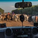 Kenia - Masai Mara - Rush Hour im Massai-Land