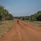 Kenia - Masai Mara - Straßenszene