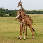 Kenia-Massai-Mara