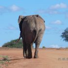 Kenia National Park Tsavo-Ost .