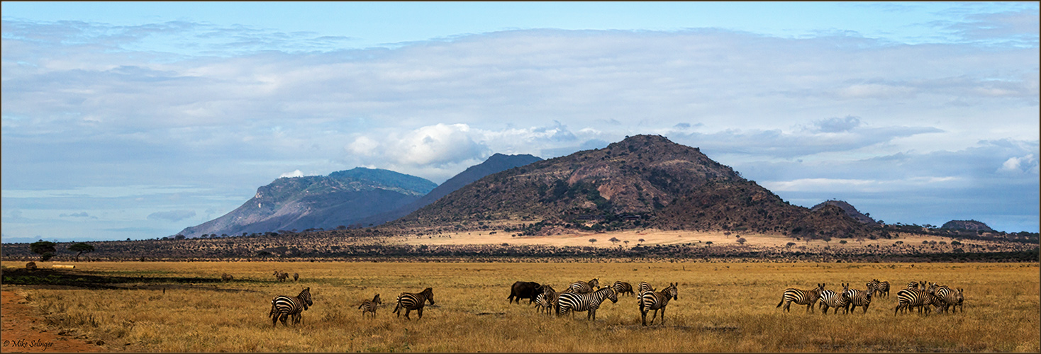 Kenia / Nationalpark - Tsavo Ost