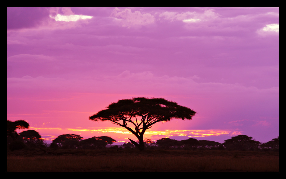 Kenia Sonnenuntergang