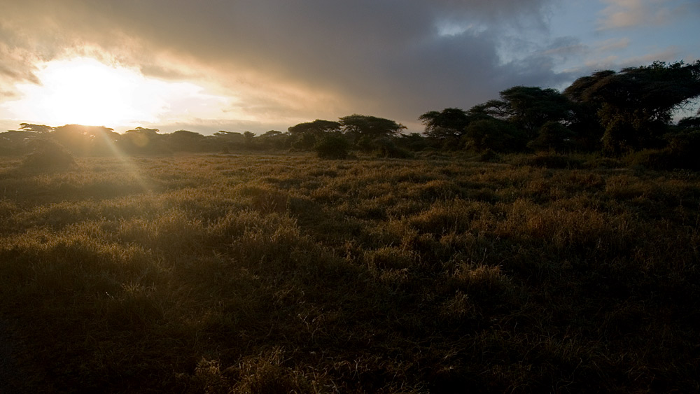 Kenia-Sunrise