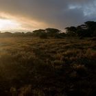 Kenia-Sunrise